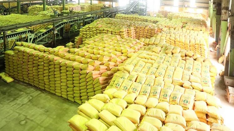 पटना में यूरिया की कालाबाजारी रोकने के लिए प्रशासन ने उठाए कदम, 11 दुकानों का लाइसेंस किया रद्द