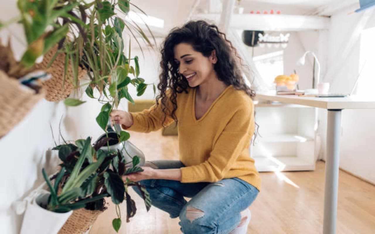 Vastu Plant For Home: घर में न रखें ये पौधे, परिवार में हो सकती है परेशानी.. Vastu Plant For Home: घर में न रखें ये पौधे, परिवार में हो सकती है परेशानी..
