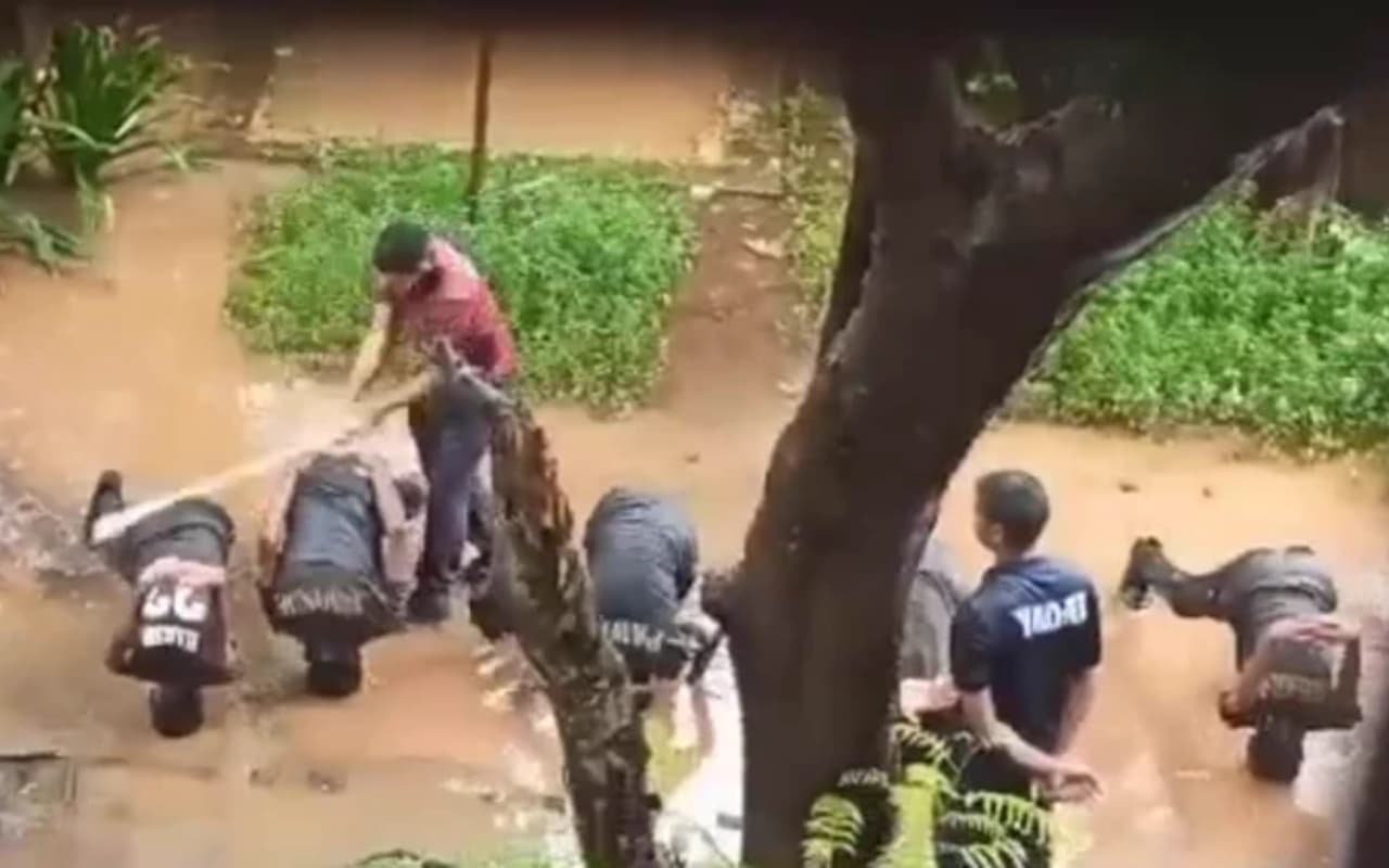 महाराष्ट्र : NCC कैडेट्स की बुरी तरह पिटाई का Video वायरल, सीनियर को किया गया सस्पेंड