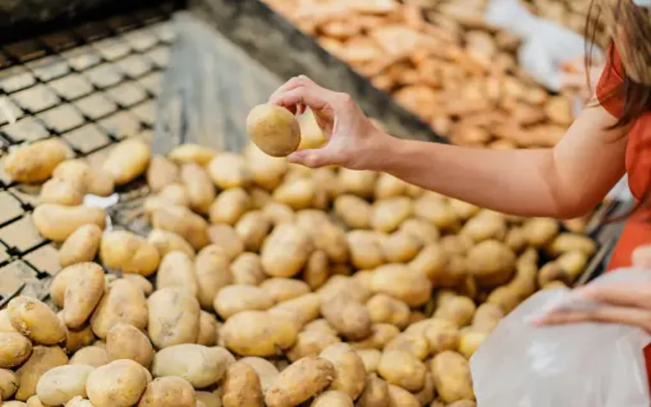 Health Tips: अगर रोज पीएंगे आलू का जूस, तो नहीं होगी इन बीमारियों की समस्या