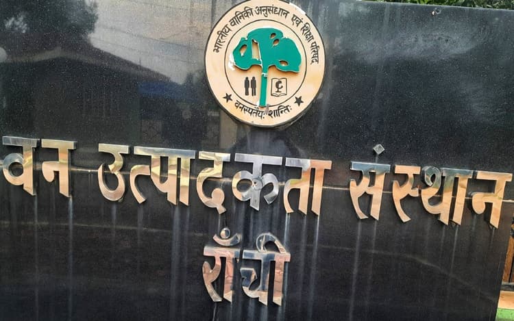 देश में पहली बार बना Forest Soil Health Card, झारखंड के 31 वन प्रमंडलों के सैंपल की हुई जांच