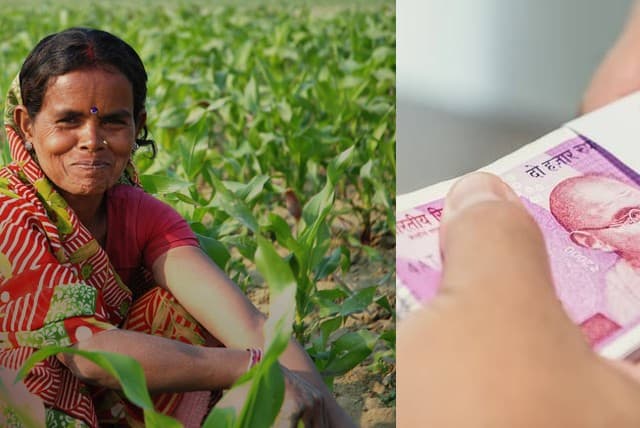झारखंड की 1.30 लाख महिला किसानों को हेमंत सोरेन सरकार देगी 5 से 8 हजार रुपये तक की आर्थिक मदद झारखंड की 1.30 लाख महिला किसानों को हेमंत सोरेन सरकार देगी 5 से 8 हजार रुपये तक की आर्थिक मदद