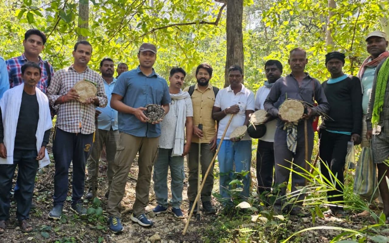झारखंड के पलामू टाइगर रिजर्व में फिर दिखा बाघ, वन विभाग ने जारी किया अलर्ट