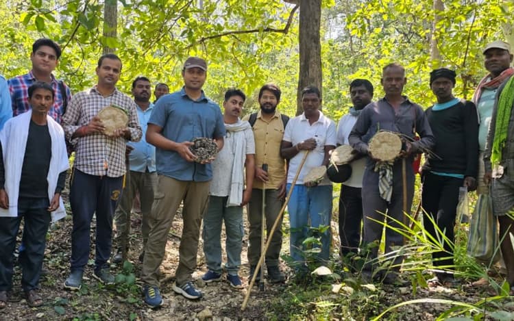 झारखंड के पलामू टाइगर रिजर्व में फिर दिखा बाघ, वन विभाग ने जारी किया अलर्ट
