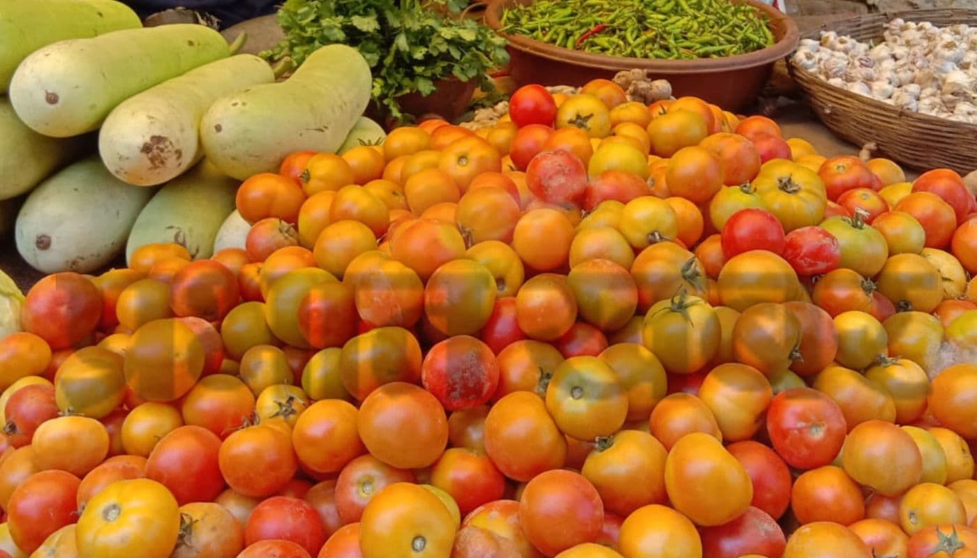 तेवर दिखा रहे टमाटर समेत अन्य सब्जियों के भाव गिरे, कुछ दिन बाद फिर गिरेगी कीमत, जानें फिलहाल क्या है रेट