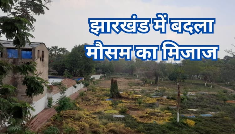 झारखंड में बदला मौसम का मिजाज, रांची समेत कई जिलों में झमाझम बारिश, इस दिन से बढ़ेगी ठंड