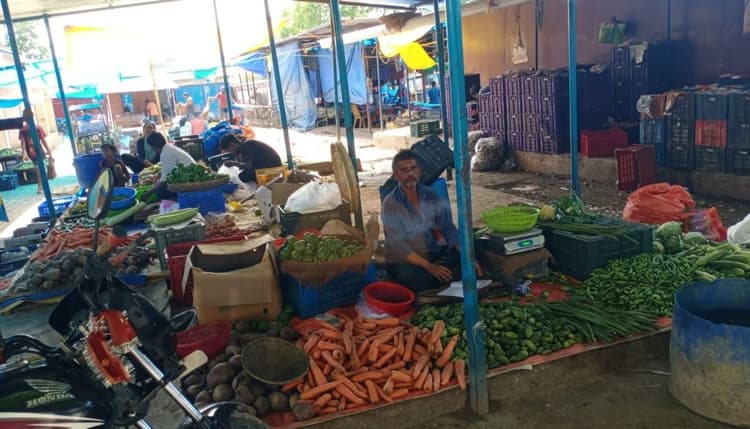 बिहार: बरसात में लाल हुआ टमाटर, हरा मिर्च और अदरक के भाव भी चढ़े, थाली से गायब हो गयी हरी सब्जी