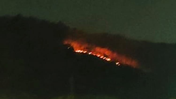 भारत के 30 प्रतिशत से अधिक जिले जंगल की भीषण आग के लिहाज से संवेदनशील : अध्ययन