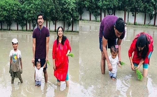 पत्नी और बच्चों के साथ खेत में धान रोपते बिहार के कलेक्टर साहेब, सोशल मीडिया पर सुर्खियां बटोर रही तसवीरें