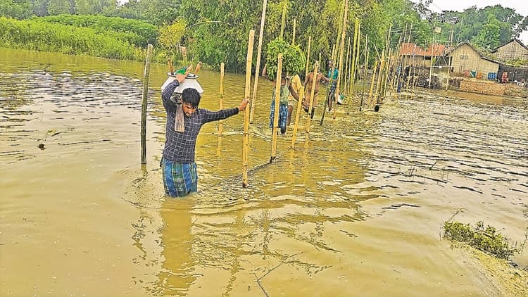 बिहार: नदी ने लिया विकराल रूप, निचले इलाकों में घुसा बाढ़ का पानी, लोगों में दहशत