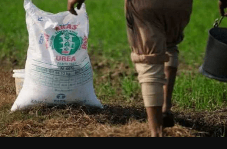 Gorakhpur News: गोरखपुर में समितियों पर लटका ताला, किसान खाद के लिए परेशान