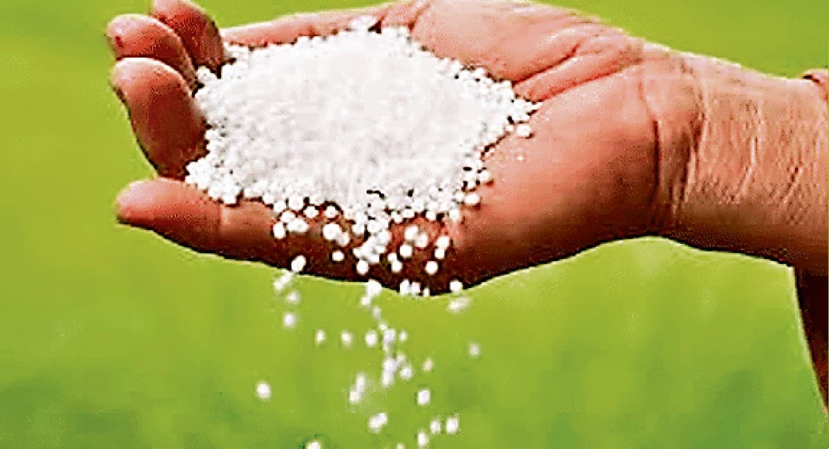मुजफ्फरपुर में यूरिया की किल्लत से किसान परेशान, इस दिन जिले में पहुंचेगा तीन रैक खाद