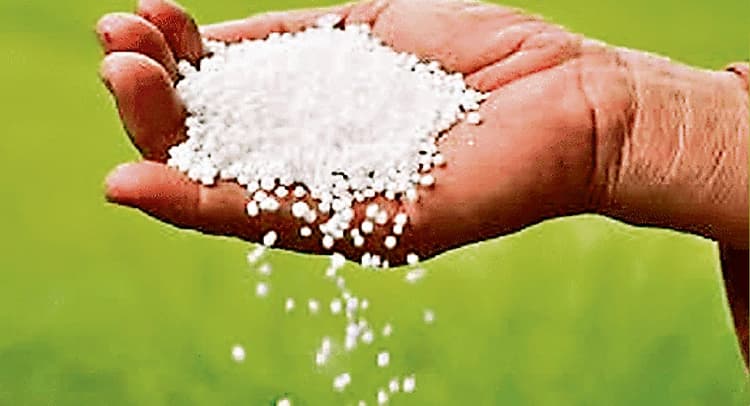 बिहार में खाद आपूर्ति को लेकर कृषि मंत्री ने केंद्र को लिखा पत्र, किसानों की जरूरतों को पूरा करने की मांग
