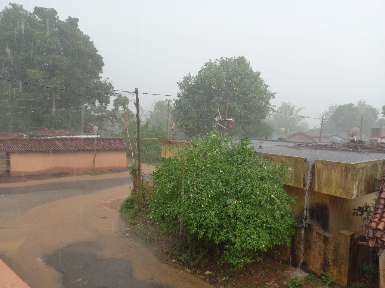 रांची में हुई हल्की बारिश, इन जिलों में आज होगी भारी बारिश, झारखंड में कब से कमजोर पड़ रहा Monsoon