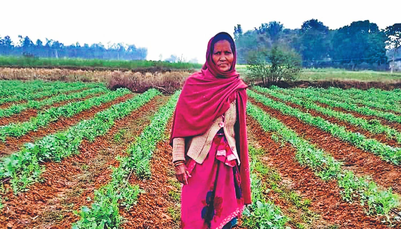 Success Story: सूक्ष्म टपक सिंचाई से बढ़ी लोहरदगा की किरणमाला की कमाई, अब साल भर करती हैं खेती