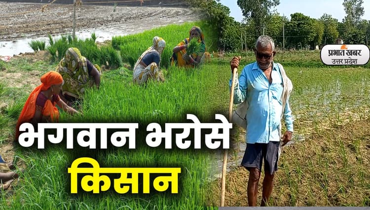 मानसून की दगाबाजी ने किसानों को संकट में डाला, खेत में धान का बिचड़ा गिराने के लिए आसमान ताक रहे किसान...