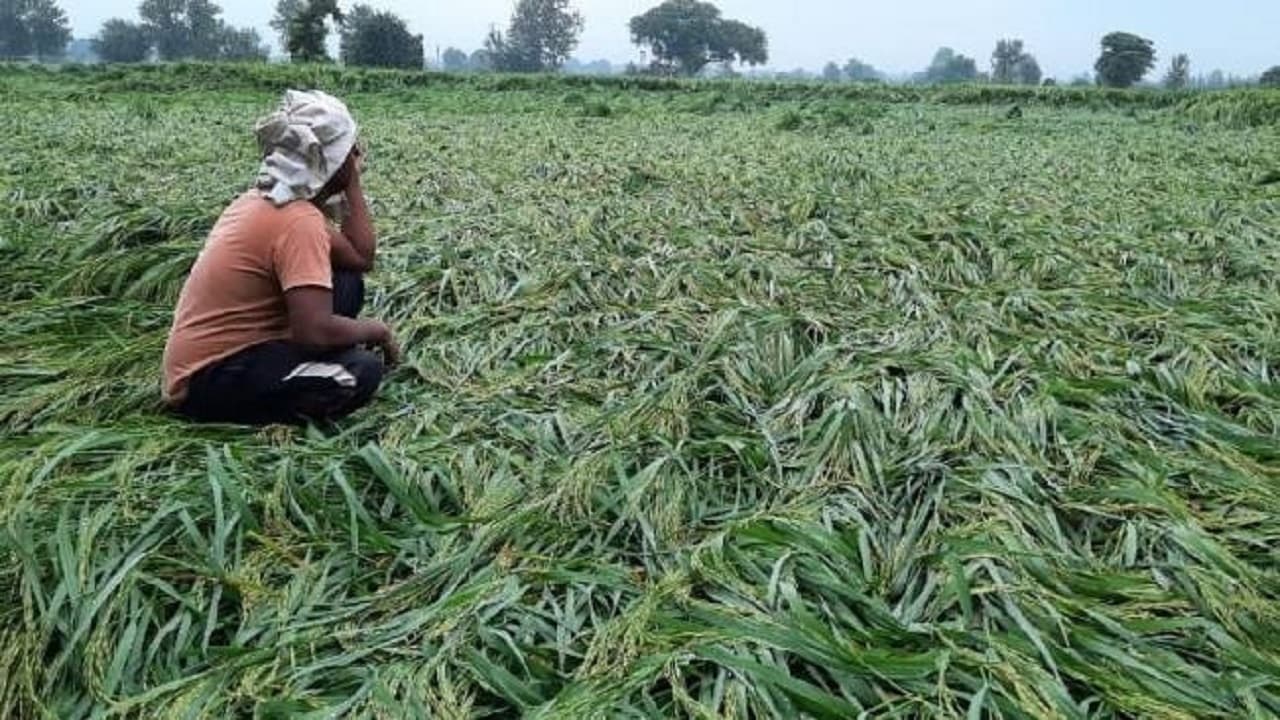 Kisan Andolan: ठंड से मर रहे हैं किसान और सरकार दे रही है तारीख पे तारीख, यह एक साजिश है- किसान नेता
