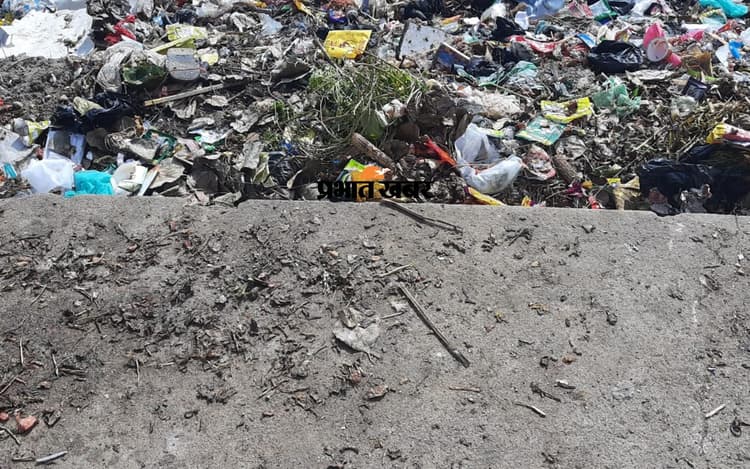 Save River: मेदिनीनगर में कोयल के तट पर डंप होता है कचरा, नदी में गिरती है 20 नाले की गंदगी