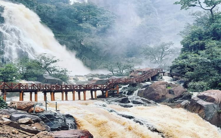 Lohri 2023: लोहड़ी की परिक्रमा कर रेवड़ी व मक्का किये अर्पित, गिद्दा और भांगड़ा पर थिरके रांचीवासी