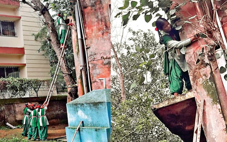 प्रभात खबर इंपैक्ट : लोहरदगा के भंडरा में छात्राओं से कराया गया खतरनाक काम, जांच करने पहुंची कॉ-ऑर्डिनेटर