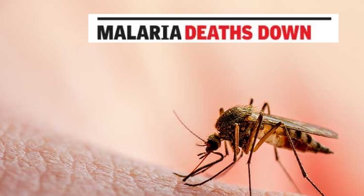 भारत में आई मलेरिया के मामलों में गिरावट, 86 प्रतिशत की बड़ी गिरावट दर्ज, मौतों में 79 प्रतिशत की कमी
