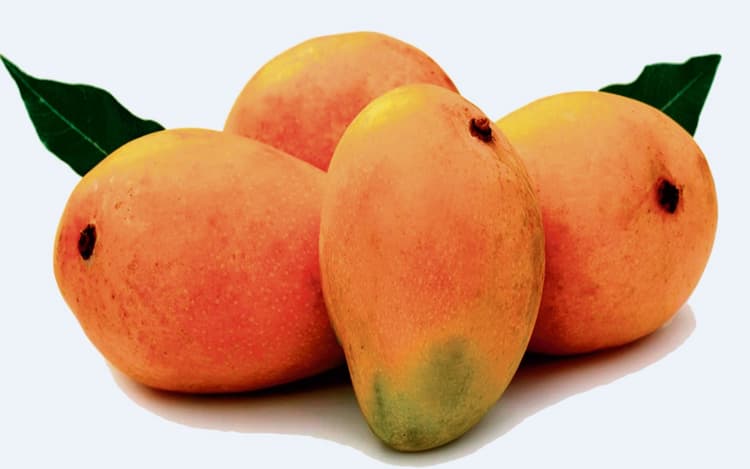 पटना में अलर्ट मोड पर नगर निगम, 19 जोन में घूमेगी क्विक रिस्पॉन्स टीम की गाड़ियां