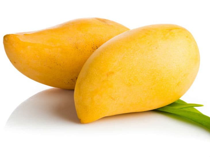 दुनिया के 10 प्रतिशत हिस्सों में ही होती है आम की पैदावार, जानिए ऐसे ही आम से जुड़े कुछ दिलचस्प किस्से