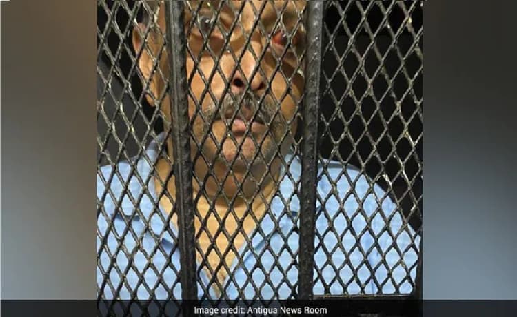 मेहुल चोकसी को झटका, डोमिनिका सरकार ने घोषित किया अवैध अप्रवासी, जानिए चोकसी के वकीलों का क्या था दावा