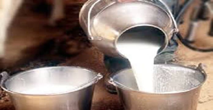 World Milk Day 2021 : विश्व दुग्ध दिवस आज, दूध उत्पादन में देश में 16वें स्थान पर है झारखंड, प्रति व्यक्ति महज 172 ग्राम दूध हो रहा उपलब्ध, पढ़िए ये रिपोर्ट