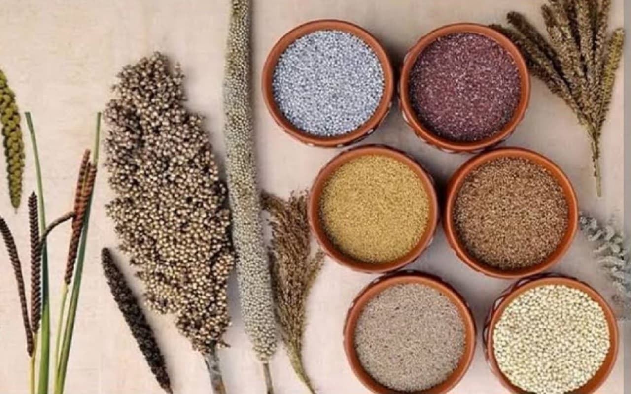 Millet Benefits: मोटे अनाज में छिपा है पतले होने का राज, शरीर को कई बीमारियों से रखता है दूर