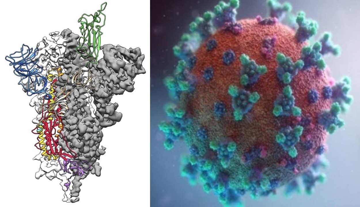 कोरोना के खिलाफ भारत को मिली बड़ी सफलता, मॉलिक्यूल के जरिए वायरस की जड़ का ही हो जाएगा सफाया