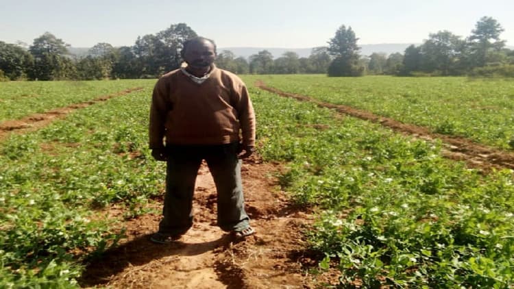 Jharkhand News: मुक्ति कुजूर को नहीं मिली नौकरी, तो जमीन नहीं होने के बावजूद ऐसे कर रहे खेती, दे रहे रोजगार