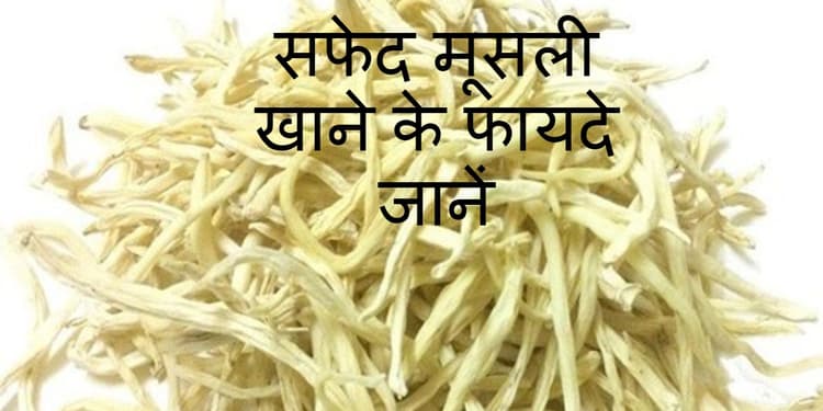 Benefits Of Safed Musli: वजन बढ़ाने से लेकर डिप्रेशन दूर करने तक में फायदेमंद है सफेद मूसली