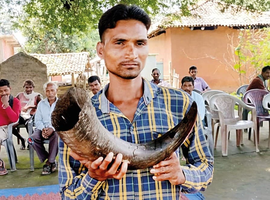 आइज भी ग्राम सभा कर हंकवारी में बाजेला बन भंइसा कर सिंघ