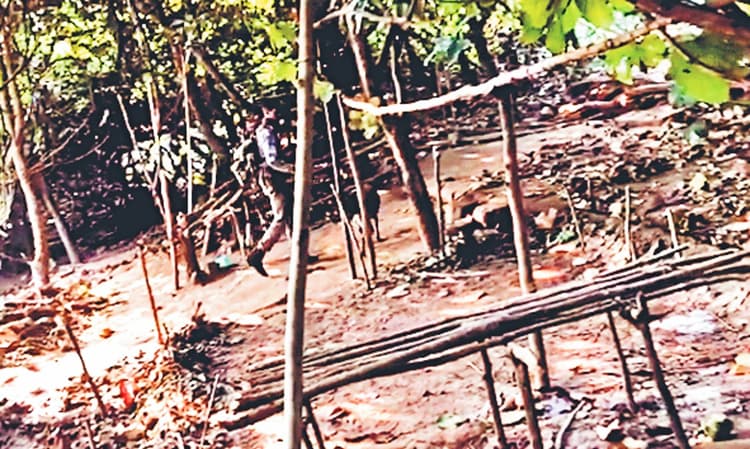 गिरिडीह के पारसनाथ में नक्सलियों के सबसे बड़े कैंप में ऐश-ओ-आराम के इंतजाम देख पुलिस भी हैरान