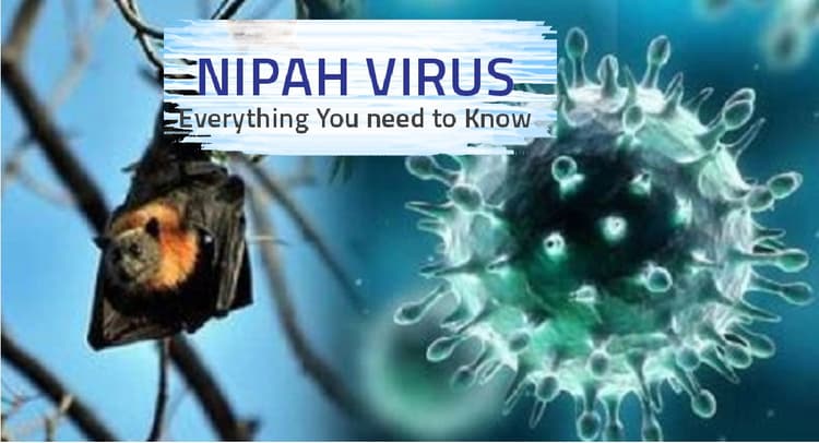 Health: कैसे फैलता है 'Nipah Virus', क्या है इसके लक्षण व बचने के उपाय, जानें यहां सबकुछ