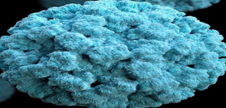 Norovirus in Kerala: जानिए कितना घातक है नोरोवायरस, केरल के 2 बच्चों में हुई पुष्टि