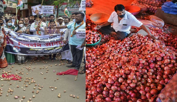 प्याज निर्यात पर रोक लगने के बाद महाराष्ट्र सरकार ने ठानी तकरार, ठाकरे मंत्रिमंडल में किया गया बड़ा फैसला