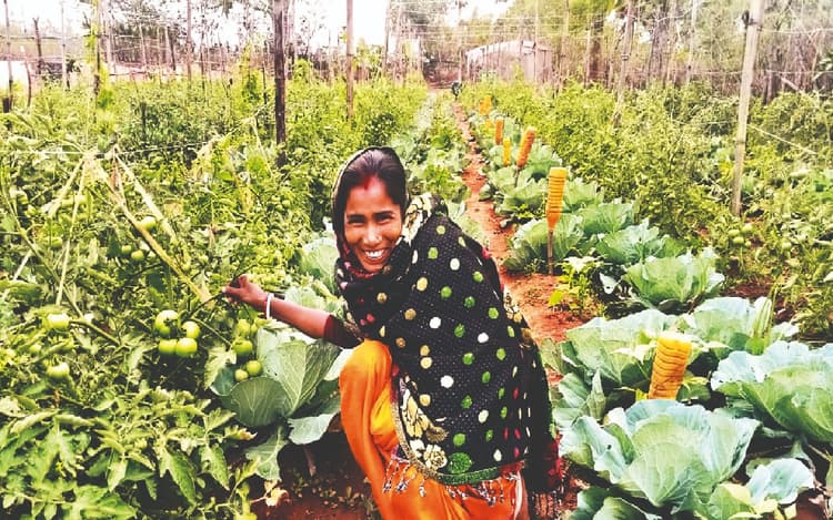 आर्गेनिक खेती से बदलने लगी किसानों की किस्मत, हजारों कमाने वाले अब लाखों कमाने लगे