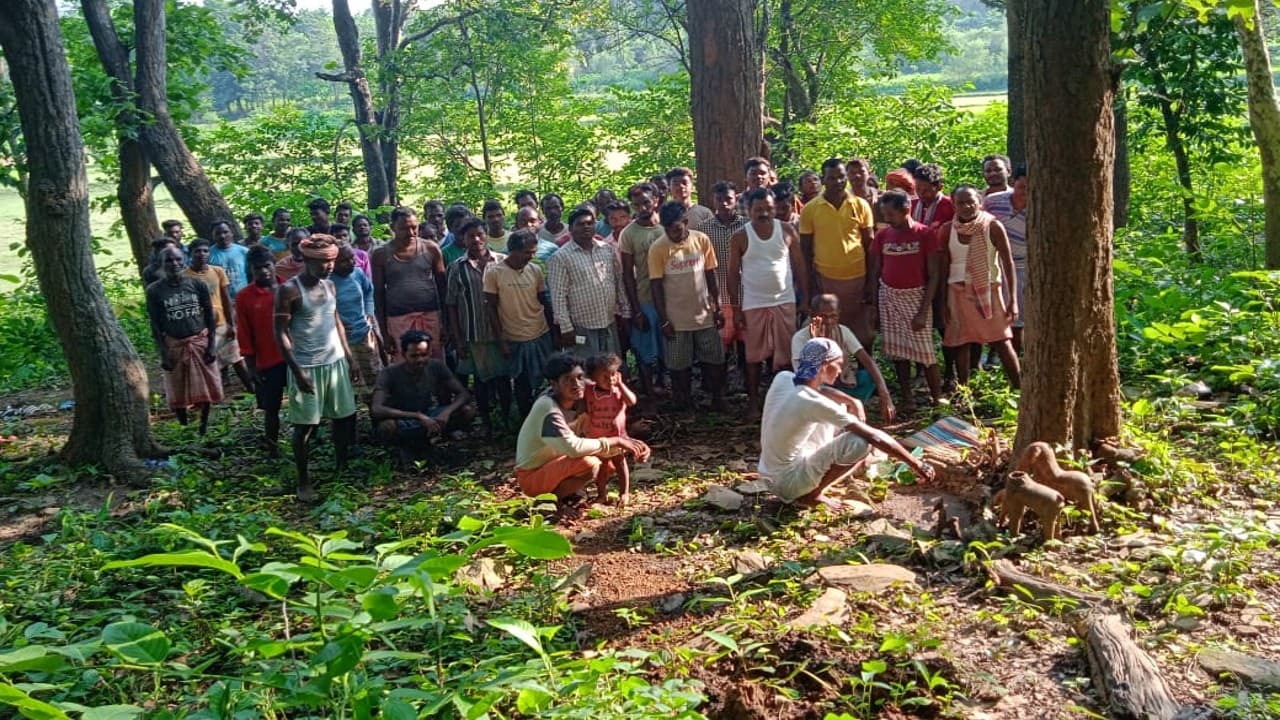 अच्छी बारिश नहीं होने से पूर्वी सिंहभूम के किसानों की बढ़ी परेशानी, भगवान से कर रहे प्रार्थना
