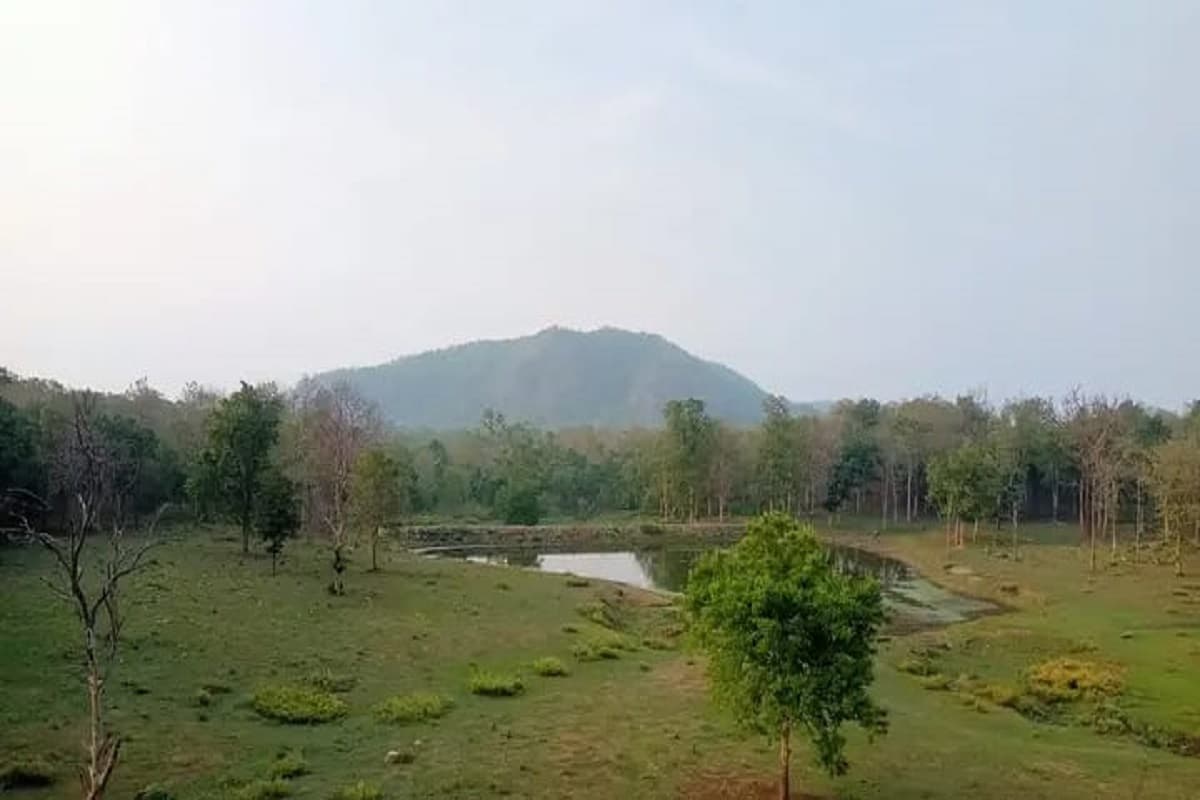 Jharkhand News : झारखंड के पलामू टाइगर रिजर्व पर क्यों टिकी थी अंग्रेज अफसरों की नजर Jharkhand News : झारखंड के पलामू टाइगर रिजर्व पर क्यों टिकी थी अंग्रेज अफसरों की नजर