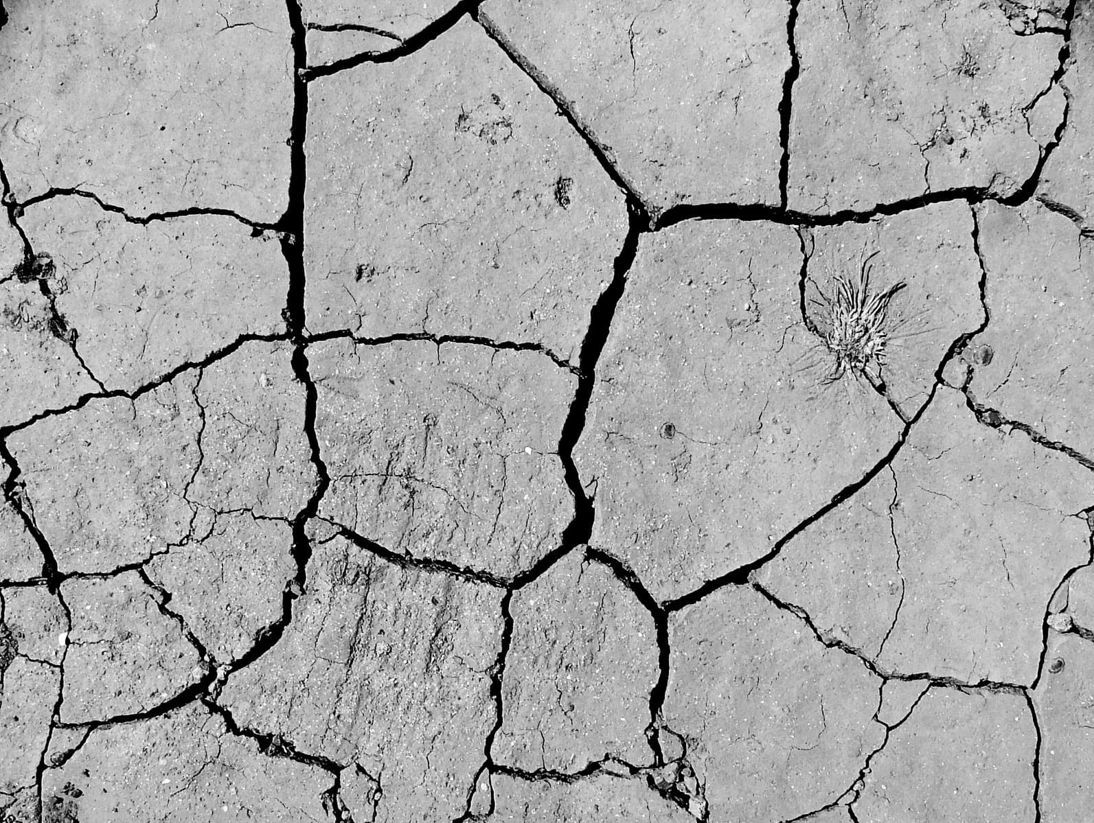 सीसीएल के महुआपथारी में फटी धरती, दहशत