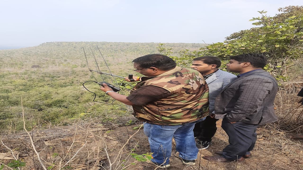 मध्य प्रदेश के पन्ना टाइगर रिजर्व की तर्ज पर झारखंड के पलामू टाइगर रिजर्व का लौटेगा गौरव, ये है तैयारी मध्य प्रदेश के पन्ना टाइगर रिजर्व की तर्ज पर झारखंड के पलामू टाइगर रिजर्व का लौटेगा गौरव, ये है तैयारी