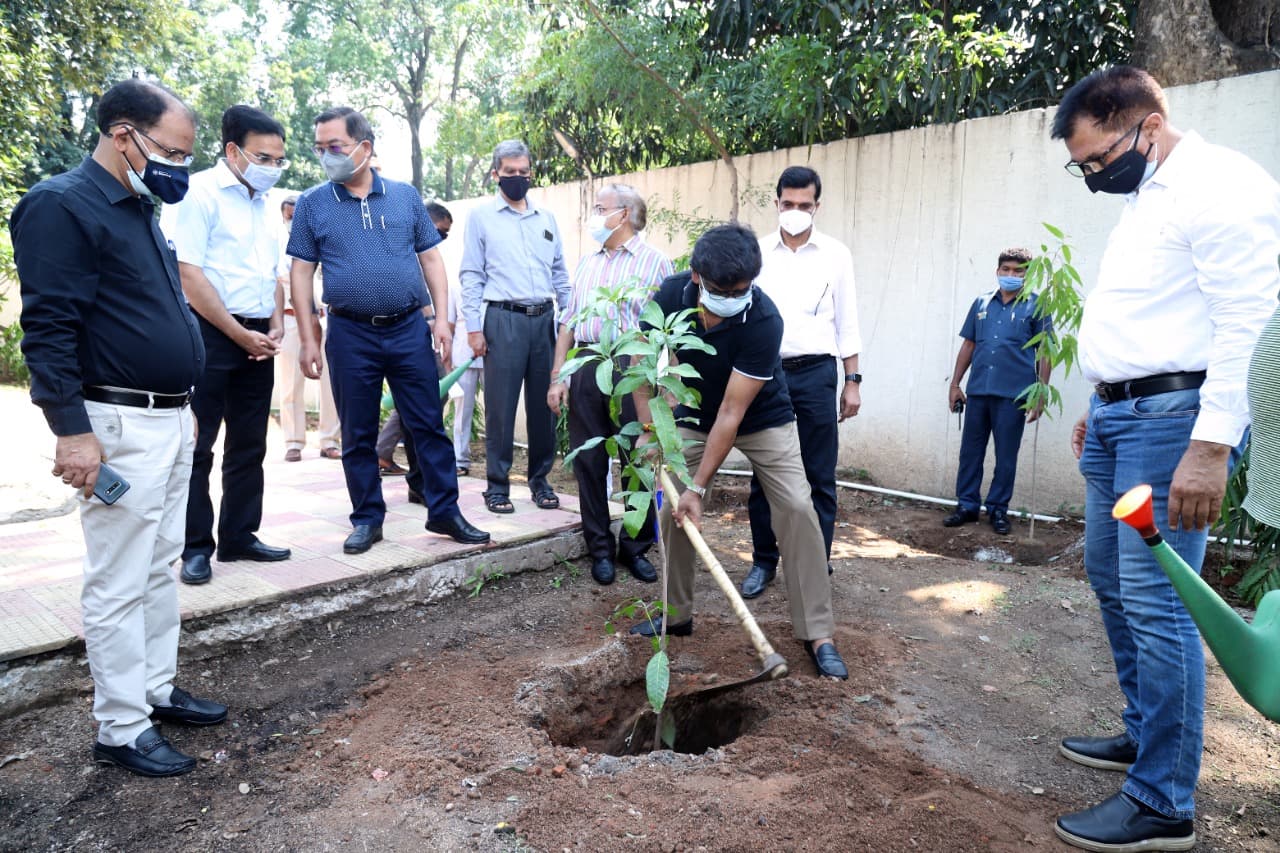 World Environment Day 2021 : झारखंड के सीएम हेमंत सोरेन ने विश्व पर्यावरण दिवस पर किया पौधरोपण, भावी पीढ़ी के लिए की पर्यावरण संरक्षण का संकल्प लेने की अपील World Environment Day 2021 : झारखंड के सीएम हेमंत सोरेन ने विश्व पर्यावरण दिवस पर किया पौधरोपण, भावी पीढ़ी के लिए की पर्यावरण संरक्षण का संकल्प लेने की अपील