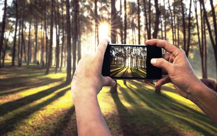 Tips and Tricks: अपने स्मार्टफोन से खींचें DSLR जैसी तस्वीरें, ये हैं आसान टिप्स एंड ट्रिक्स