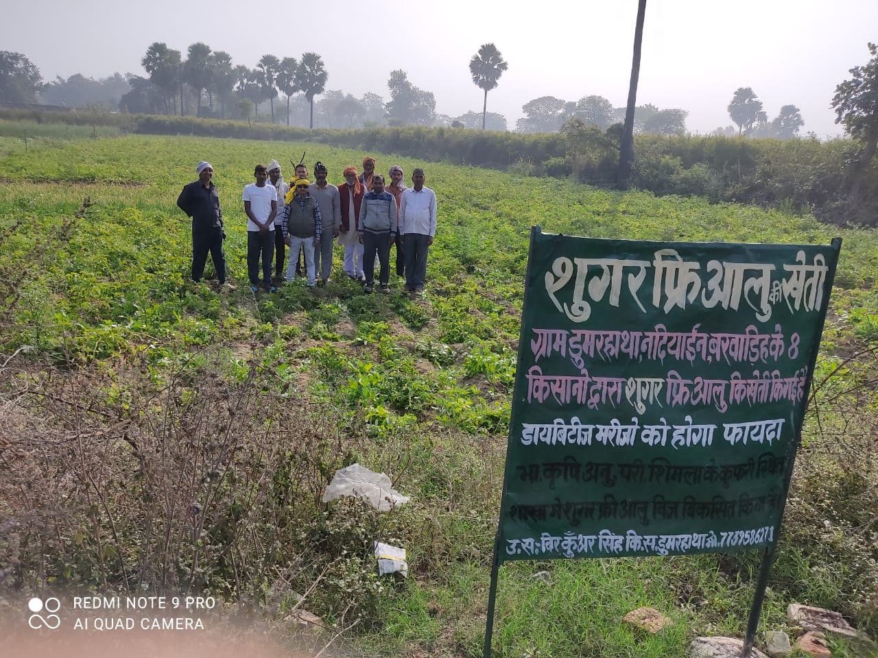 Sugar Free Potato News : झारखंड के पलामू में हो रही शुगर फ्री आलू की खेती, पढ़िए कैसे किसानों का यह प्रयोग बना चर्चा का विषय Sugar Free Potato News : झारखंड के पलामू में हो रही शुगर फ्री आलू की खेती, पढ़िए कैसे किसानों का यह प्रयोग बना चर्चा का विषय