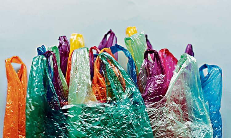 प्लास्टिक की अनदेखी के खतरे