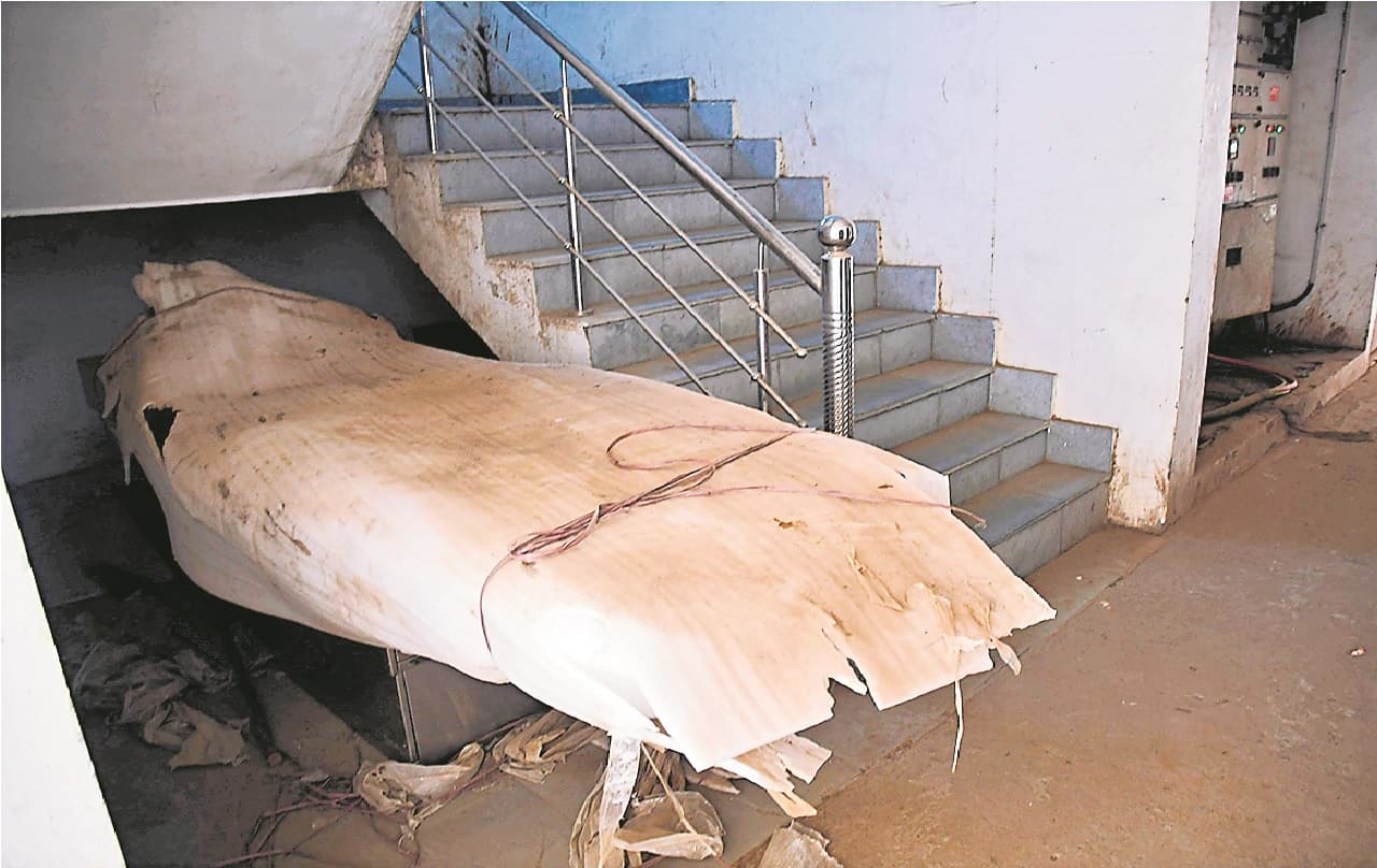 बिहार के सबसे बड़े अस्पताल का हाल बेहाल, घंटों बाद होता है पोस्टमार्टम, मौत के बाद लगती है लंबी कतार