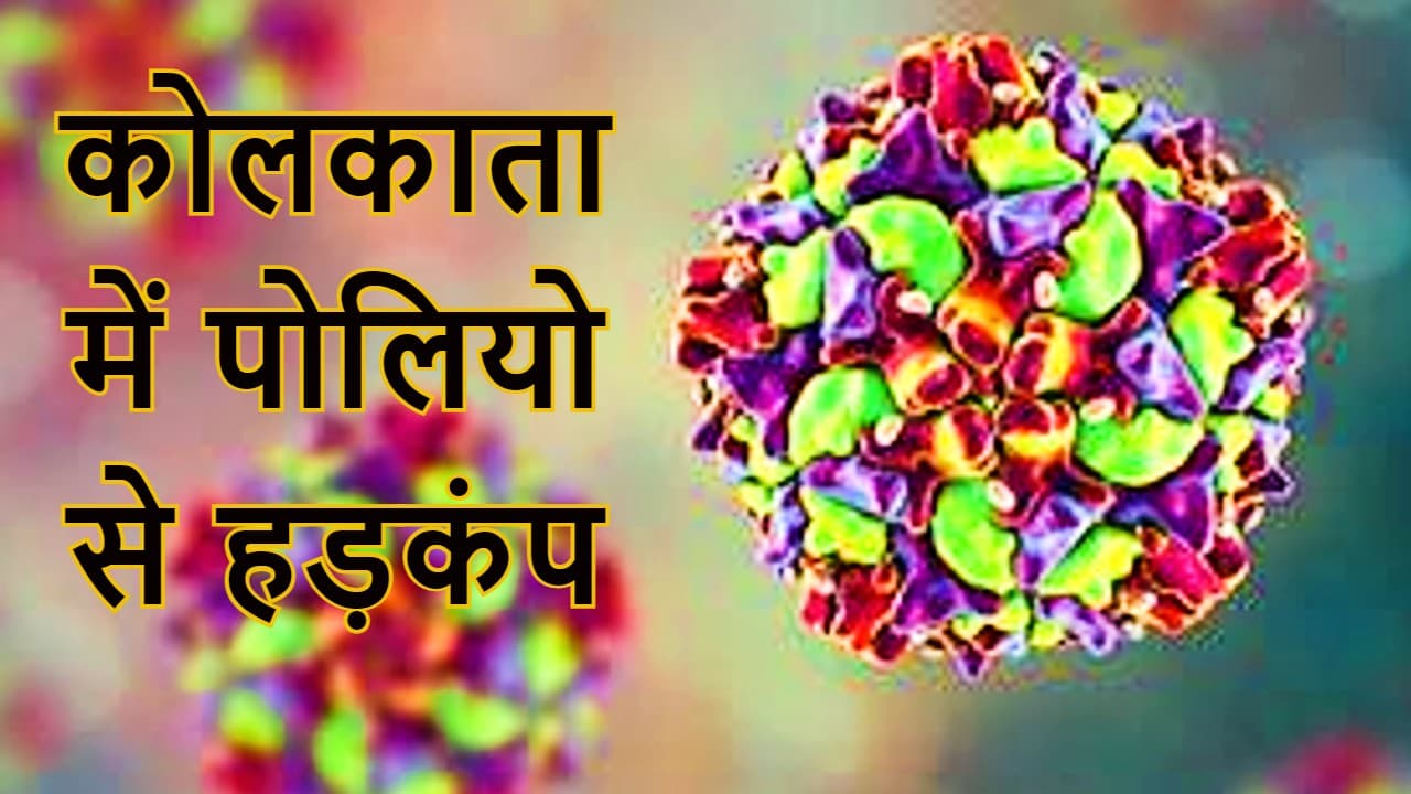 Polio Virus in Bengal: 11 साल बाद बंगाल में पोलियो का जीवाणु मिलने से हड़कंप, स्वास्थ्य विभाग अलर्ट