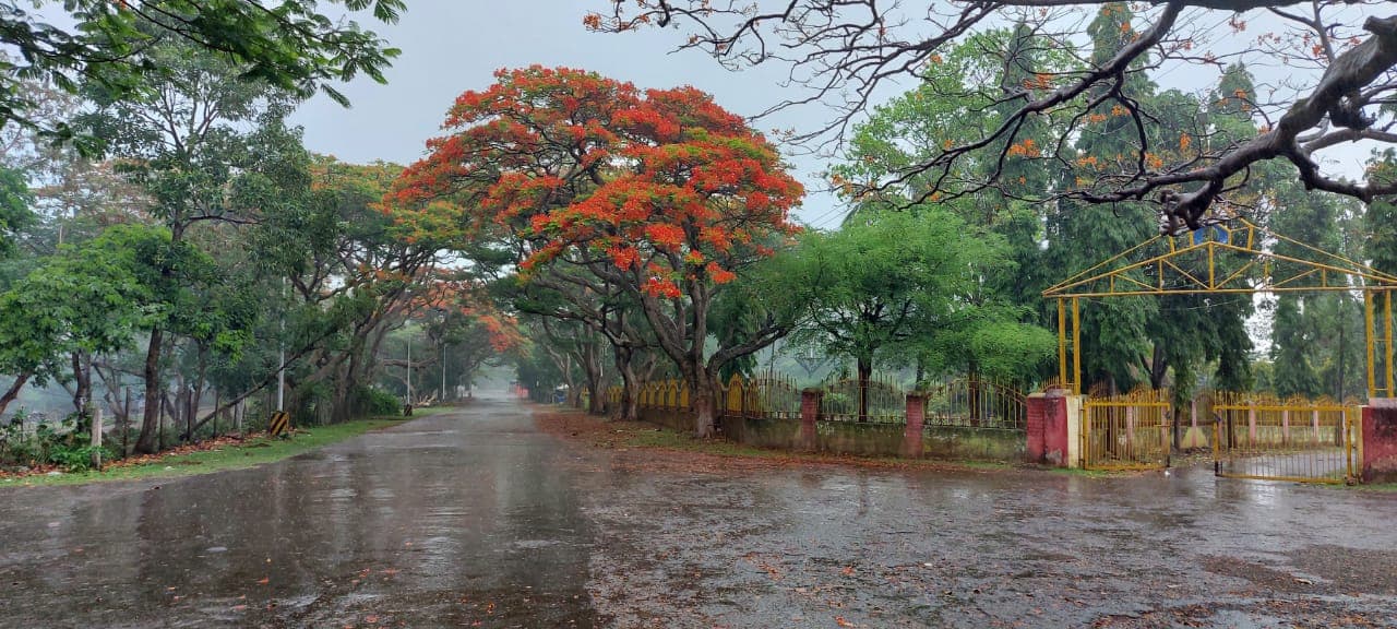 Jharkhand Weather Forecast : झारखंड में कब तक है बारिश की संभावना, इस तारीख को भारी बारिश, येलो अलर्ट जारी